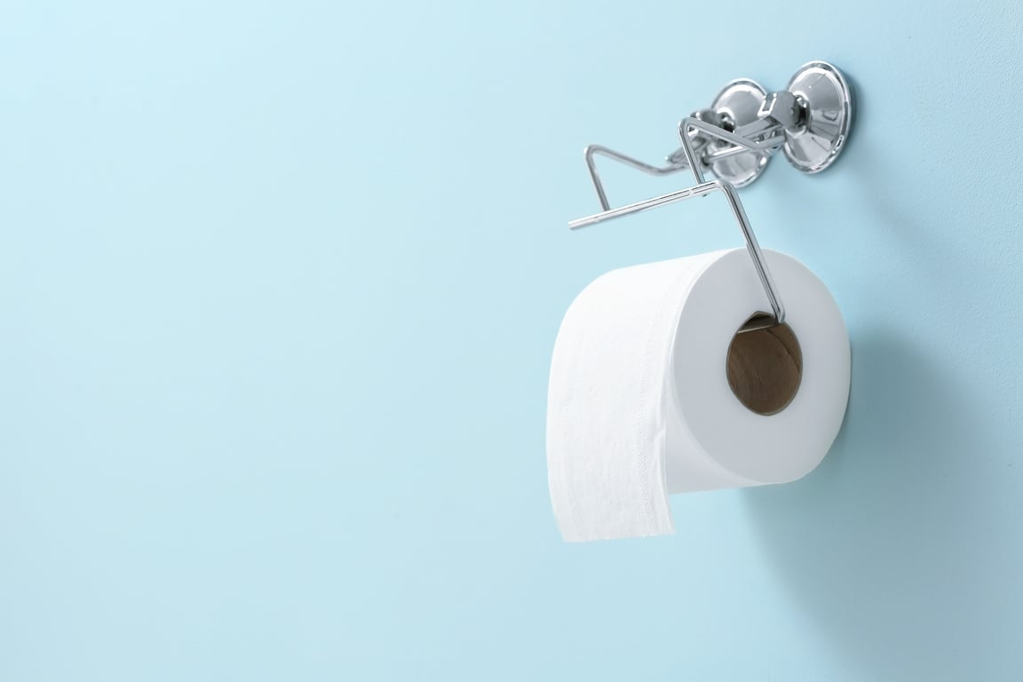 Toilet Paper Holder with Toilet Paper